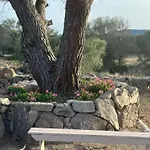 فندق مبيت وإفطار Ammentos 4*