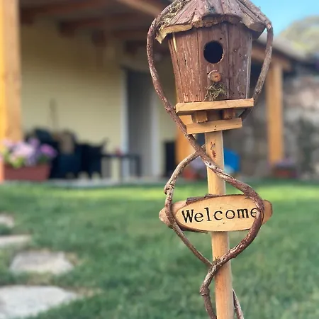 Ammentos B&B 팔라우