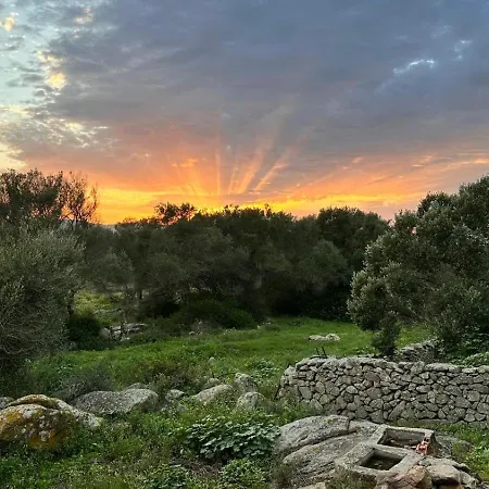 Ammentos B&B 팔라우