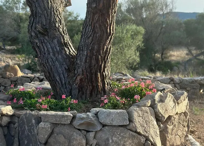 Bed and breakfast Ammentos 4*