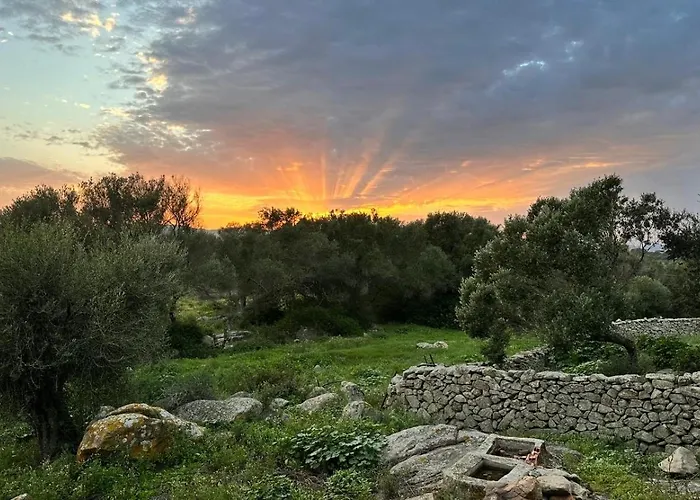 Ammentos Bed and breakfast Palau