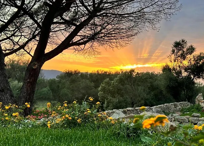 Bed and breakfast Ammentos